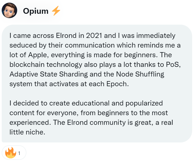 Opium's review of the Elrond Blockchain